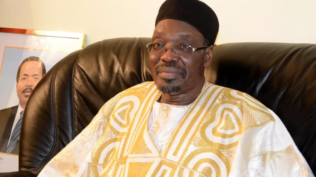 Présidentielle au Cameroun: vent de critiques dans deux partis du Nord sur leur alliance avec Paul Biya | + audio