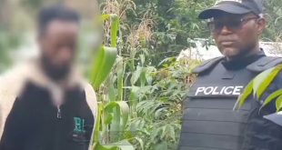 Grave Desecration and Human Bone Trafficking on the Rise in Cameroon’s North West Region | + video