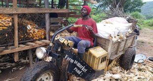 Carmel man’s Basic Utility Vehicle business makes a difference for farmers in Cameroon