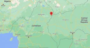 Rescue Workers Search for Survivors of Cameroon Plane Crash