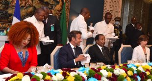 Cameroonians hold varied opinions after French president’s visit | + video