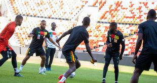 Cameroon withdraws from football friendly with Russia