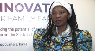 La Camerounaise Cécile Bibiane Njebet lauréate du prix Champions de la Terre de l’ONU