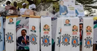 Thousands rally to fete 40 years of Cameroon under Biya