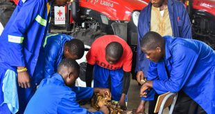 China-funded vocational school boosts technical, agricultural training in Cameroon