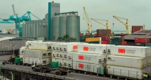 Saudi Arabia Supports Companies to Enter Cameroon, Togo Markets