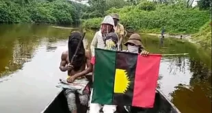 Cameroonian Troops Dislodge Pro-Biafra Militants From Bakassi