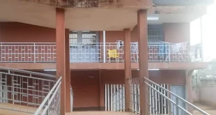 Journalists Arrested Amid Reporting on  U.S. Deportees to Cameroon