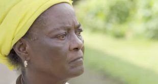 Femicide and Child Rape in Cameroon: A Justice System Failing Women and Girls