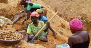 Le Cameroun lance une opération massive pour récupérer 680 milliards de dollars de revenus aurifères manquants