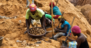Cameroon Launches Massive Crackdown to Recover $680 Billion in Missing Gold Revenues