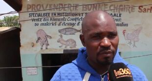 Les métaux lourds cachés dans le poulet et les œufs au Cameroun mettent-ils les enfants en danger ?
